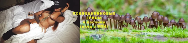 ешки Коряжма