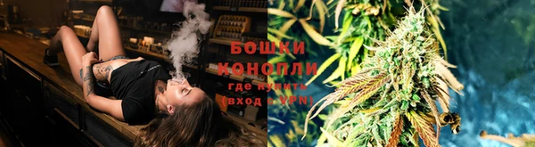 прущие крисы Костерёво