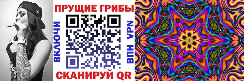 Псилоцибиновые грибы GOLDEN TEACHER  дарк нет как зайти  Орск  OMG как зайти 