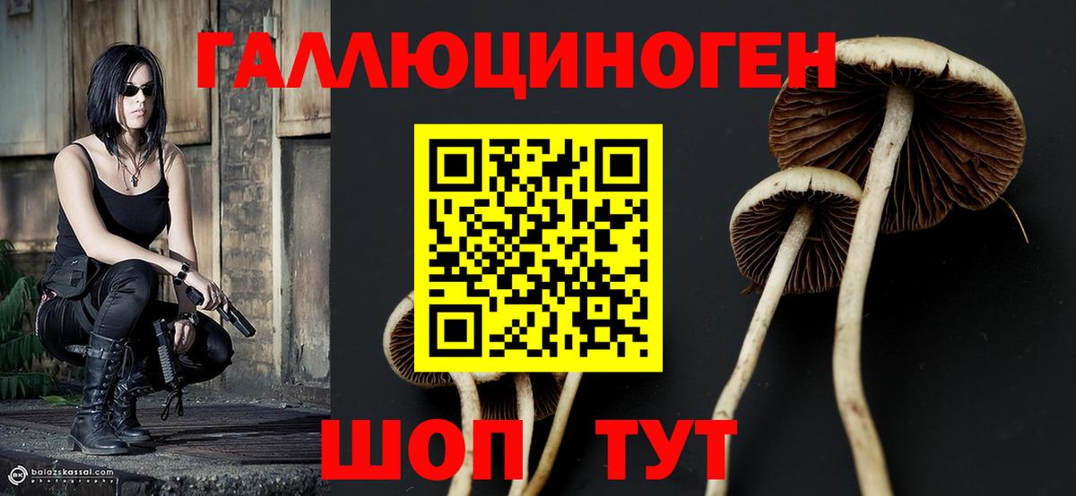 Псилоцибиновые грибы Cubensis  Вход с VPN  Орск 